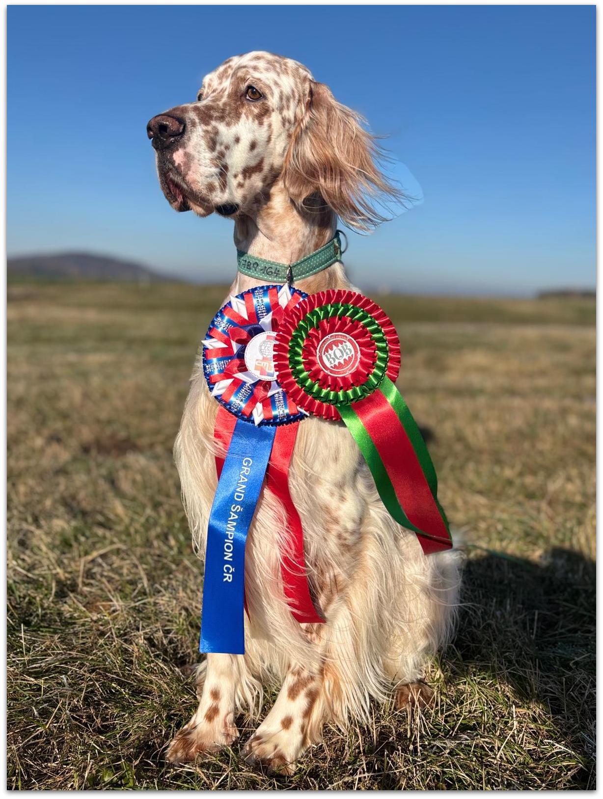 22.11.2025 NV Brno -Vánočka